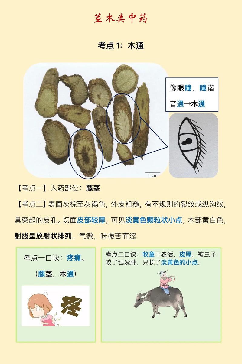 印昌印度代购希爱力是真的吗？避坑指南与正品鉴别全攻略